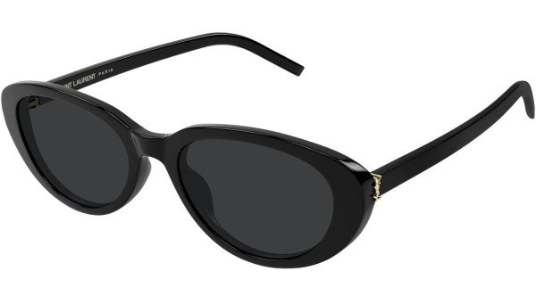 SL M154 001 1